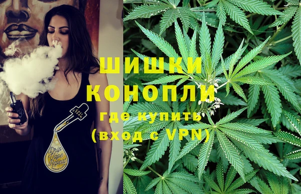 винт Баксан