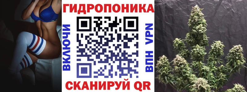 купить закладку  blacksprut ONION  МАРИХУАНА VHQ  Невель 